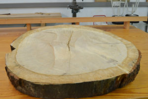 Unha torada de madeira da colección da Escola de Forestais de Pontevedra.