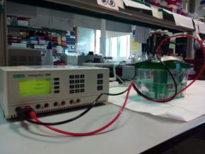 Máquina de electroforesis de proteínas usada na investigación.