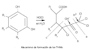 Formación da molécula de trihalometano.