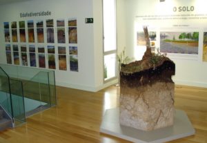 Sala dedicada ao solo, pioneira nos museos de historia natural en España