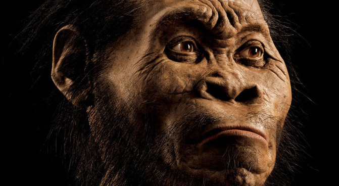 Reconstrución do Homo naledi por National Geographic.