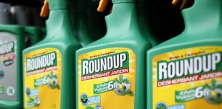 Roundup, herbicida que contén o glifosato como principio activo.