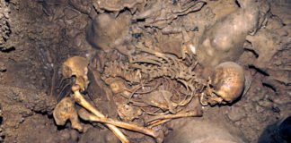 Restos humanos da cova da Braña, en Asturias, usados na investigación. Foto: CSIC.