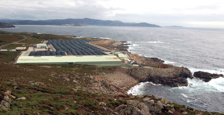 Expertise and Innovation to Strengthen the Leadership of Galician Aquaculture