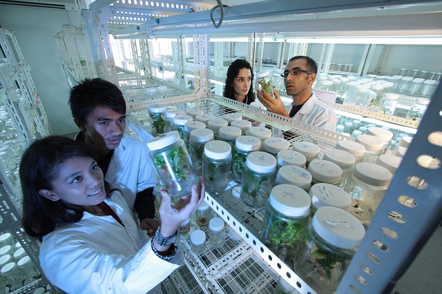 O traballo de laboratorio chega a múltiples aplicacións en Biotecnoloxía.