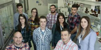 Os investigadores do grupo Nanobiomol, da Universidade de Santiago.