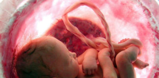 Imaxe previa ao parto realizada nun especial de National Geographic.