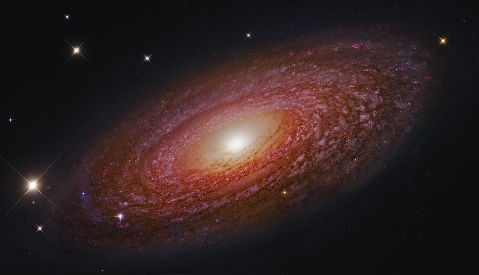 A masiva e achegada galaxia espiral NGC 2841