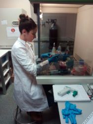 Preparación dun cultivo celular no laboratorio da Universidade de Vigo.