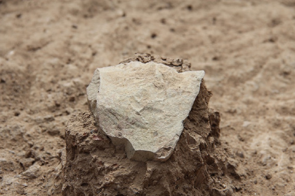 A pedra da foto é a ferramenta de pedra máis antiga da historia. Un equipo internacional de científicos achou en Kenya estes trebellos, os máis antigos xamais atopados, que datan de 3,3 millóns de anos de antigüidade. Os artefactos indican que os homínidos puideron fabricar ferramentas moito antes do que se pensaba e poderían adiantar así as orixes do xénero Homo -que inclúe os humanos modernos-. Non obstante, os investigadores descoñecen aínda que especie puido realizalas. Os científicos atoparon 149 artefactos de pedra nunha montaña de Kenya e publican o descubrimento na revista 'Nature'. A datación atrasa en 700.000 anos a antigüidade das ferramentas ata agora máis antigas. Segundo os investigadores, os autores dos artefactos poderían ser ou non algún antecesor dos humanos. O achado é a primeira evidencia de que un grupo anterior de protohumanos (primeiros humanos) tivo as habilidades necesarias para fabricar ferramentas de bordos afiados. Estes artefactos marcan "un novo comezo no rexistro arqueolóxico actual", sinalan os autores do estudo. Foto: Nature.