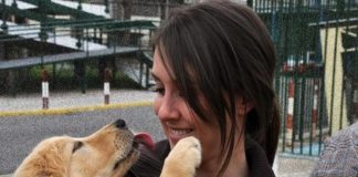 A cadela Osi, dun refuxio de animais de Sevilla, adestrada para terapia con humanos.