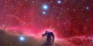 Nebulosa Cabeza de Cabalo