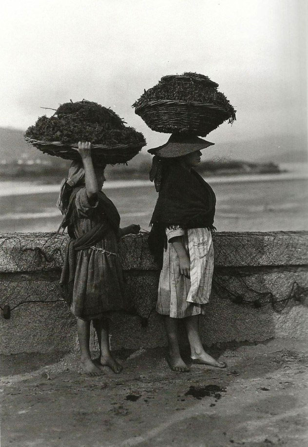 Mulleres carrexando algas. Noia, 1924.