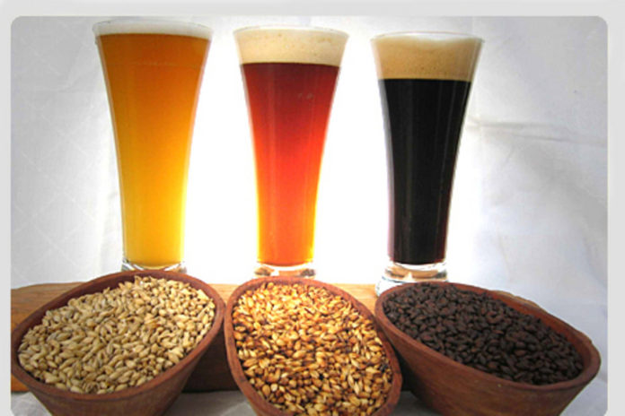O cambio climático podería afectar á produción de orxo, ingrediente principal da cervexa.