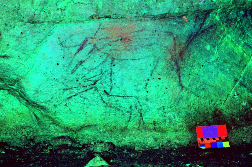 Pintura dun animal na Cova de Eirós.