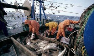 fishermenarticle