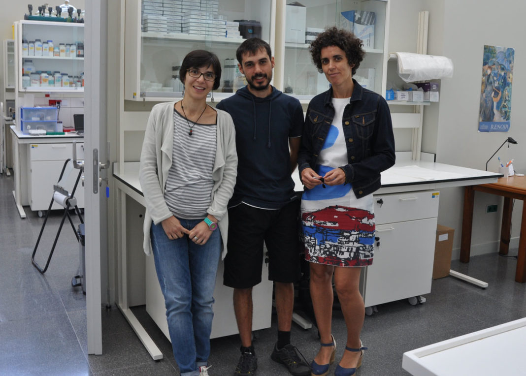 Chouciño, Fernández e Mouriño, autores do artigo na revista 'Nature Communications'.