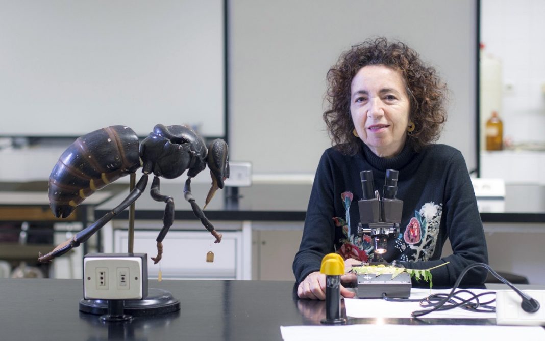 Marilar Aleixandre, profesora da USC e membro da comisión de Ciencia do Consello da Cultura Galega. Foto: Anxo Iglesias.