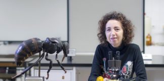 Marilar Aleixandre, profesora da USC e membro da comisión de Ciencia do Consello da Cultura Galega.