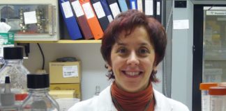 A investigadora coruñesa Marisol Soengas.