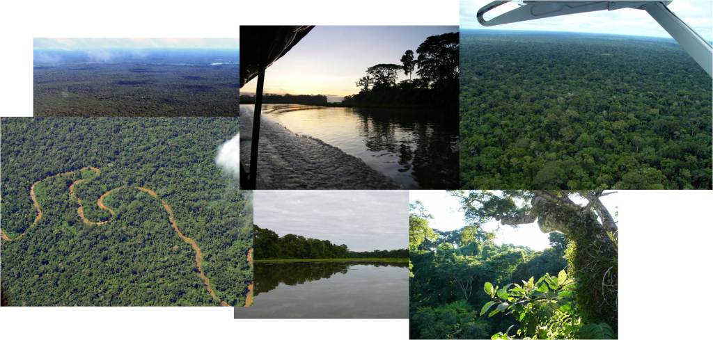Hábitats (lacustre, fluvial, canopy) e vistas aéreas do parque nacional de Manu (fotos: G. Mucientes / BEC)