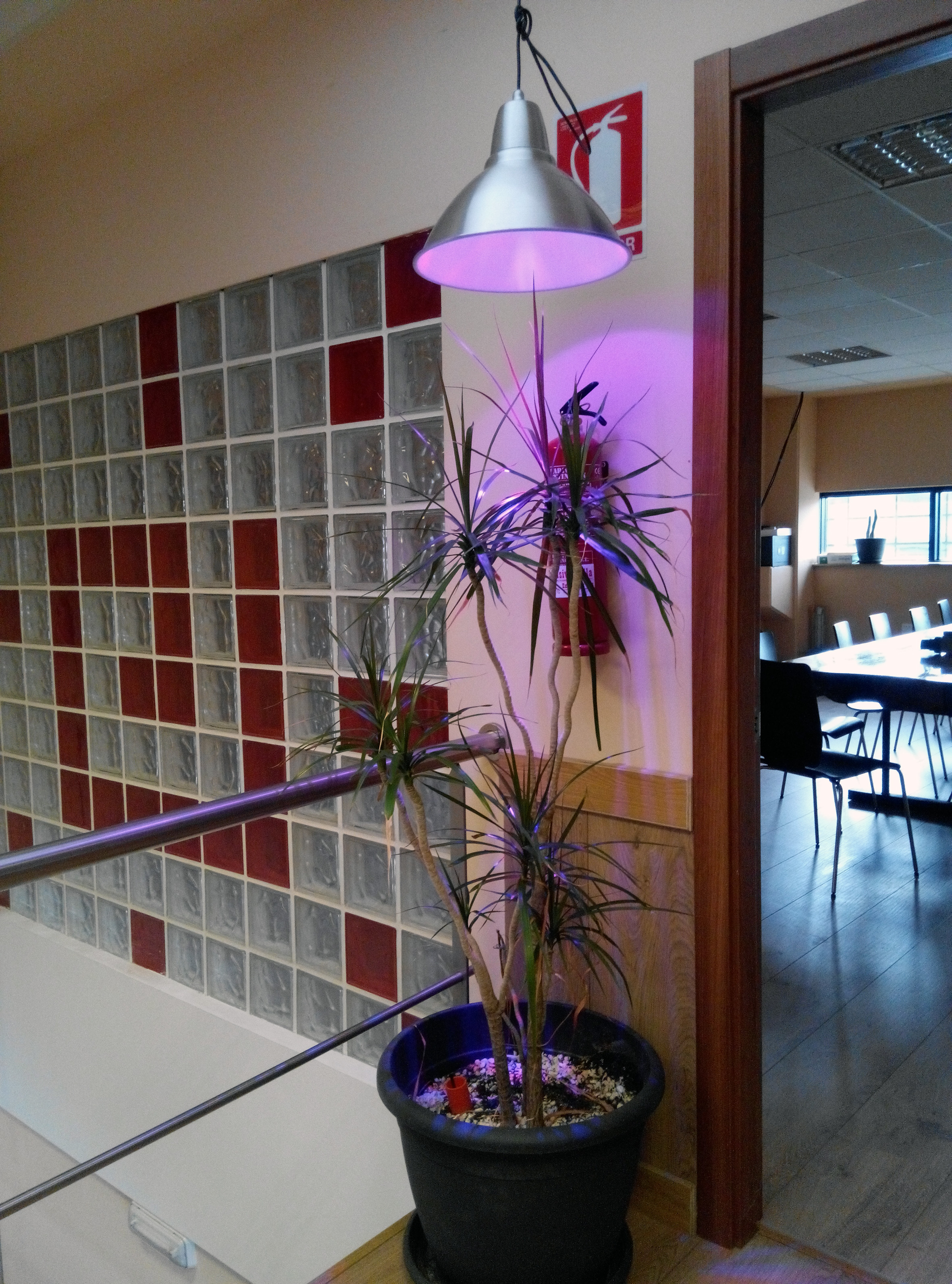 La lámpara LED emite las gamas cromáticas necesarias para que la planta crezca