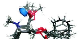 Estructura atómica da molécula de cocaína en solución acuosa. / Andrew J. Johnston et al./Univ. Oxford/UPC.