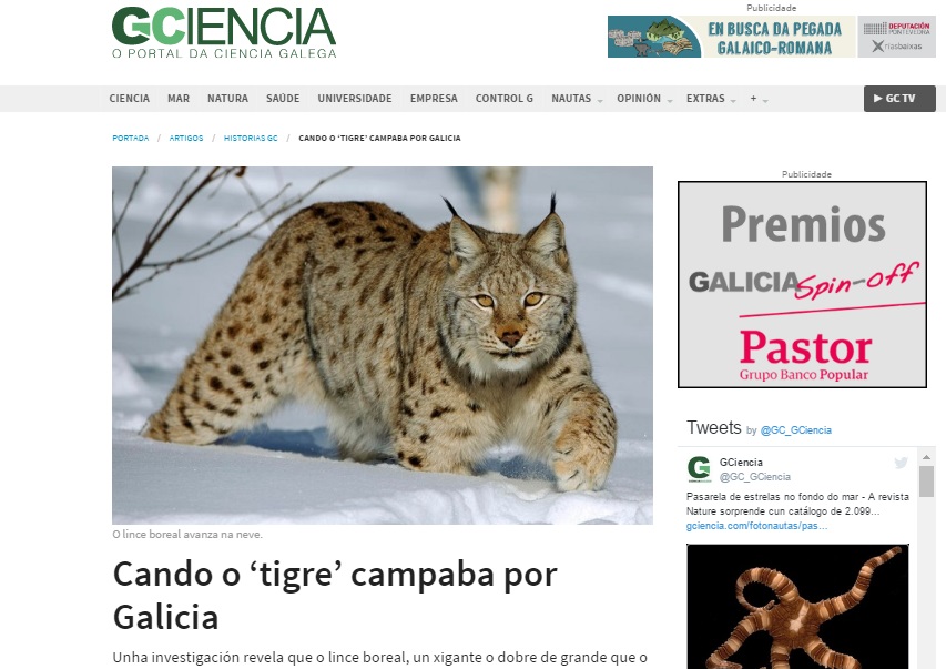 lince revalida