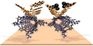 Os clústeres de prata cubren os nanotubos formados por moléculas orgánicas.
