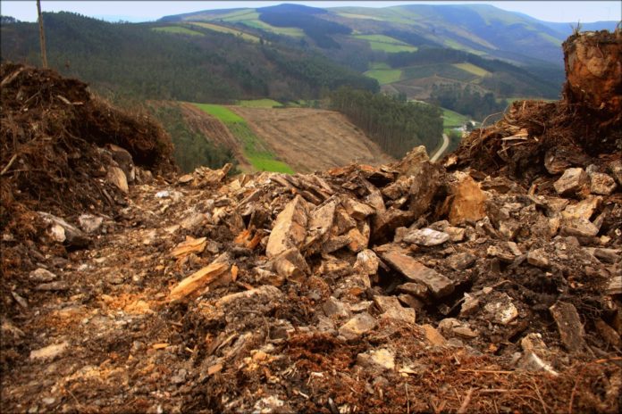 O patrimonio do norte de Lugo está sendo danado polos traballos forestais, segundo teñen denunciado entidades como Adega. Foto: Adega.
