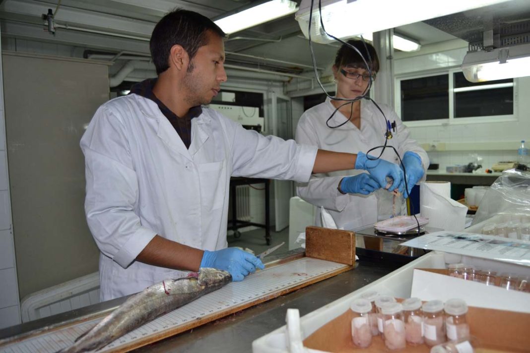 O investigador José Andrés Cuéllar.
