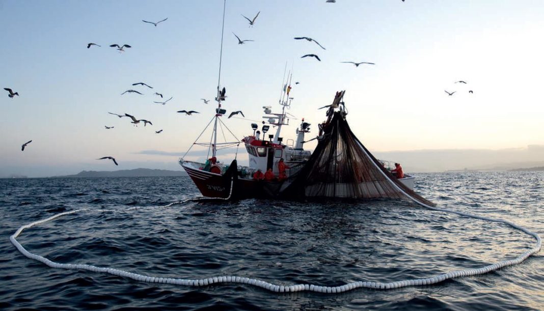 A FAO consegue o primeiro acordo internacional contra a pesca ilegal.