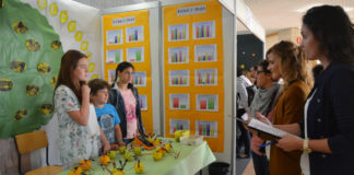 Os alumnos dos centros pontevedreses amosarán en público os seus traballos.