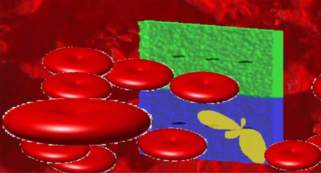 A innovación dos investigadores de Vigo e Boston permite obter imaxes a gran escala de glóbulos vermellos.
