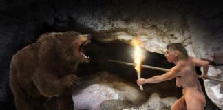 Os osos cavernarios convivían en competencia cos humanos. Os osos cavernarios viviron en competencia cos humanos. José Antonio Peñas (Sinc)