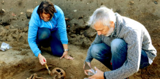 Os arqueólogos analizan os restos de 'Cornelia', o esqueleto dunha muller nova atopada este luns. Foto: Depo.es.