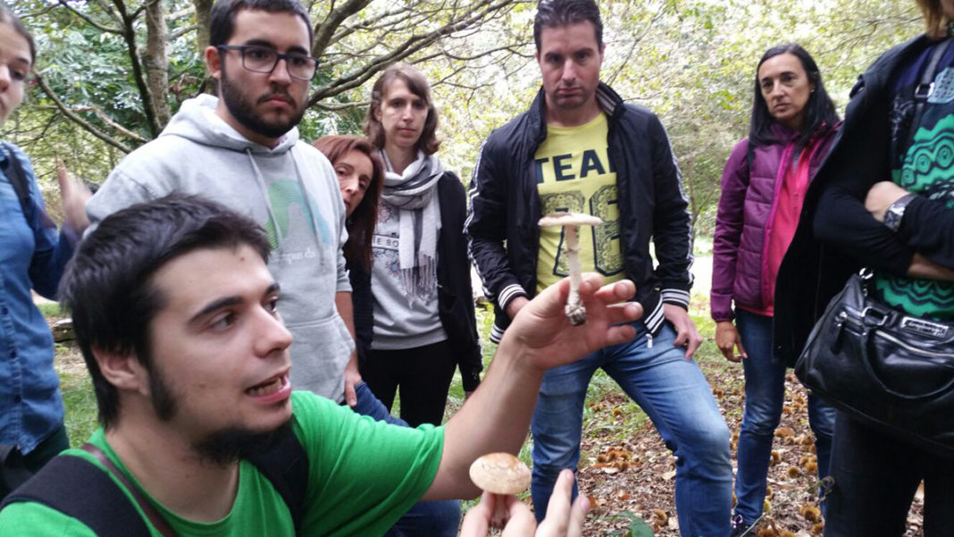Un momento do curso de campo da UVigo sobre cogomelos.