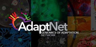 logo AdaptNET