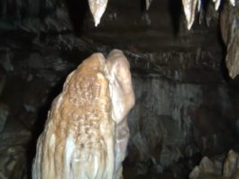 Estalagmitas e estalactitas nunha das galerías da cova Arcoia, no Courel.