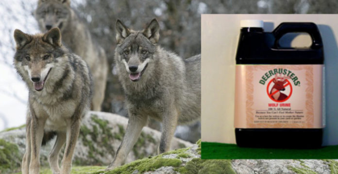 O produto contén pirazina, unha substancia presente na urina de lobo que, segundo varios estudos, espanta a outros animais.