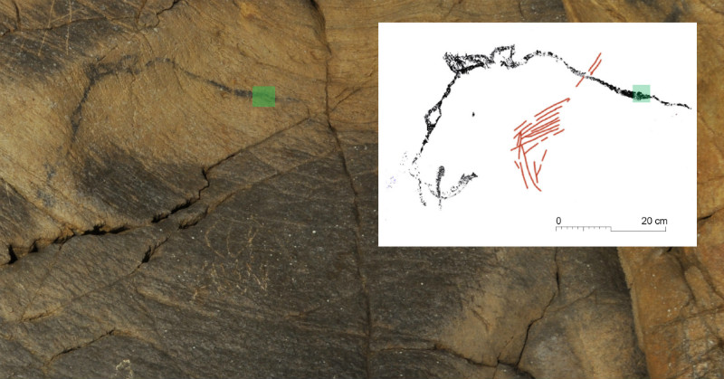 Detalle dun dos motivos pintados coa situación da mostra datada (cadro verde). Á dereita, calco da pintura datada (en negro) e a figura zoomorfa (vermello). Foto: GEPN-AAT.