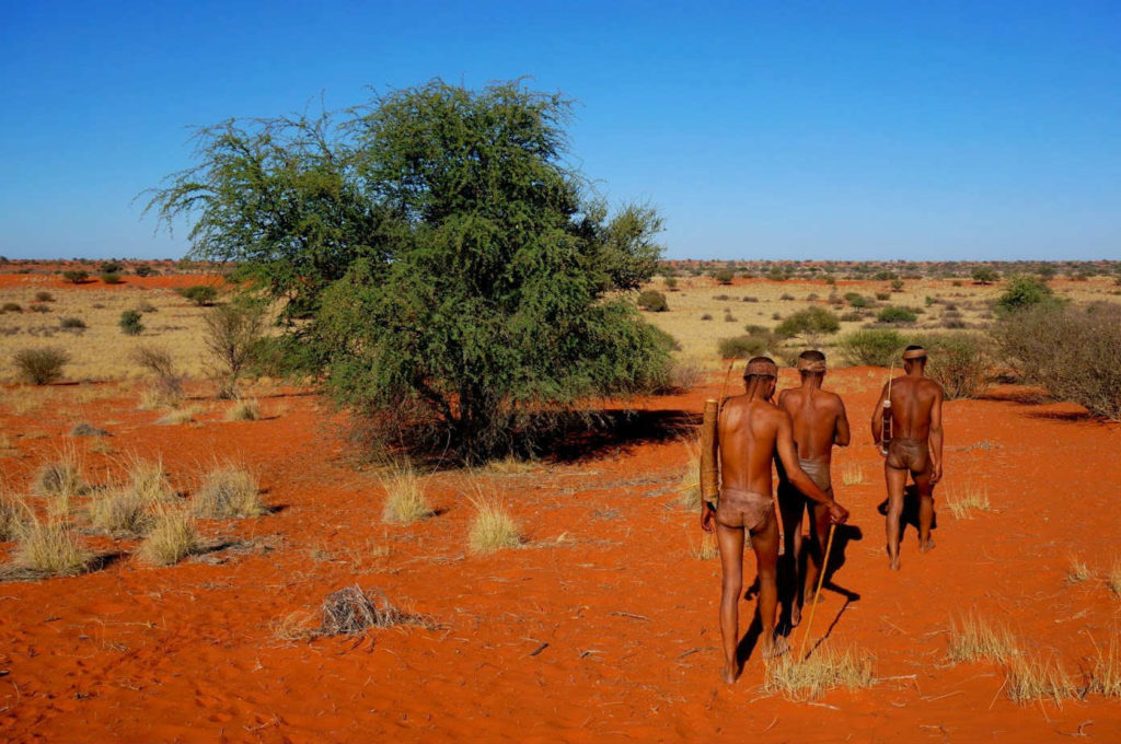 Membros da Tribu San, en Namibia.