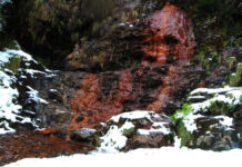 Fonte de augas ferruxinosas situada no bosque que visitamos hoxe. Imaxe: Manuel Rey.