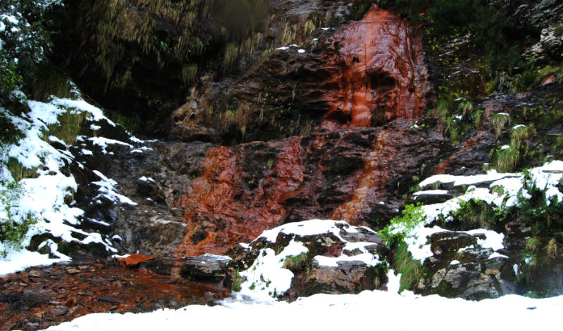 Fonte de augas ferruxinosas situada no bosque que visitamos hoxe. Imaxe: Manuel Rey.