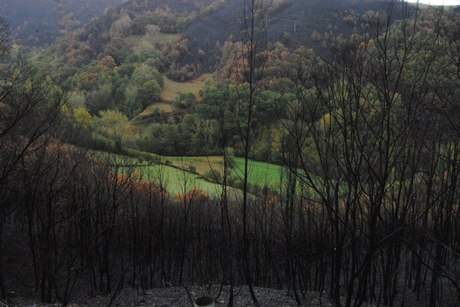 Os pasteiros e os bosques dos vales e ribeiras frearon nalgunhas zonas o avance do lume.