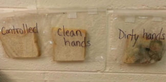 O bocadillo manipulado coas mans sucias, á dereita, o suxeito de control, e no centro, o bocadillo manipulado coas mans limpas. Foto: Donna Gil Allen.