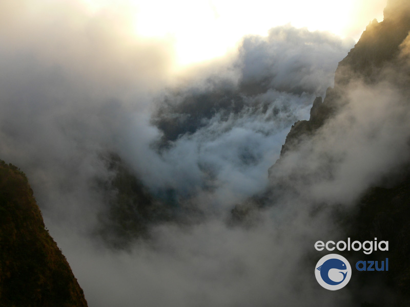 Nubes baixas entre nas montañas do interior da illa (foto: G. Mucientes)