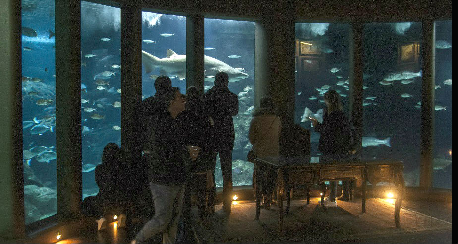 Sala Nautilus do Aquarium Finisterrae. Foto: MC2.