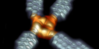 Imaxe do novo dispositivo, coa molécula e as súas conexións a través de tiras de grafeno. A imaxe foi obtida mediante Microscopía de Efecto Túnel (STM). Fonte: nanoGUNE.
