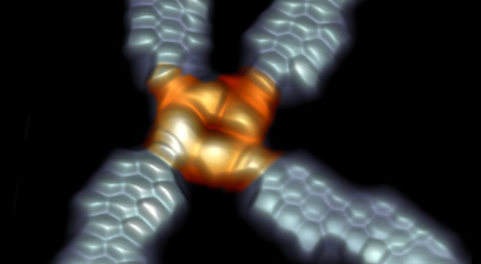 Imaxe do novo dispositivo, coa molécula e as súas conexións a través de tiras de grafeno. A imaxe foi obtida mediante Microscopía de Efecto Túnel (STM). Fonte: nanoGUNE.